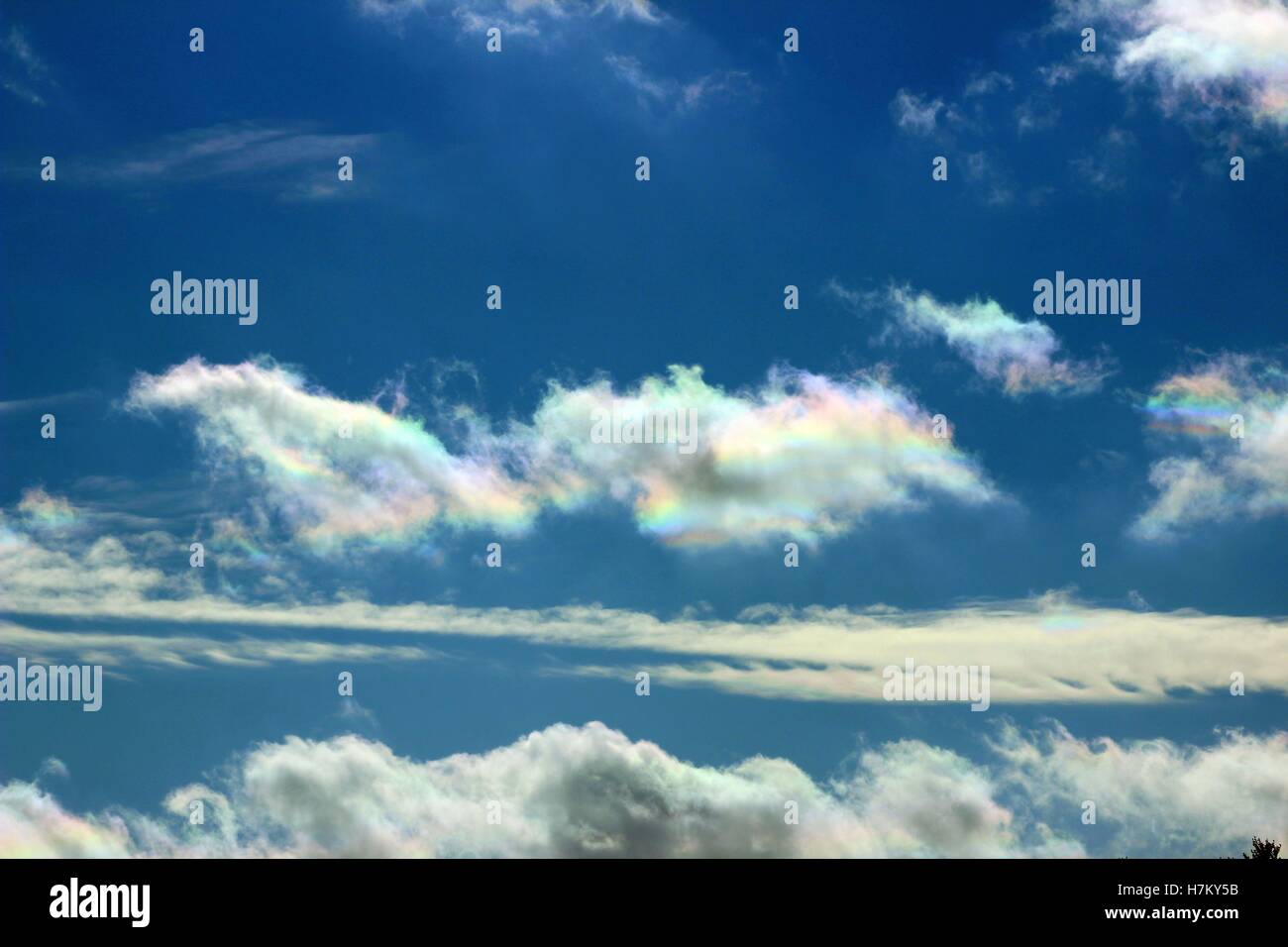 Iridescent Rainbow Clouds In A Deep Blue Sky Stock Photo