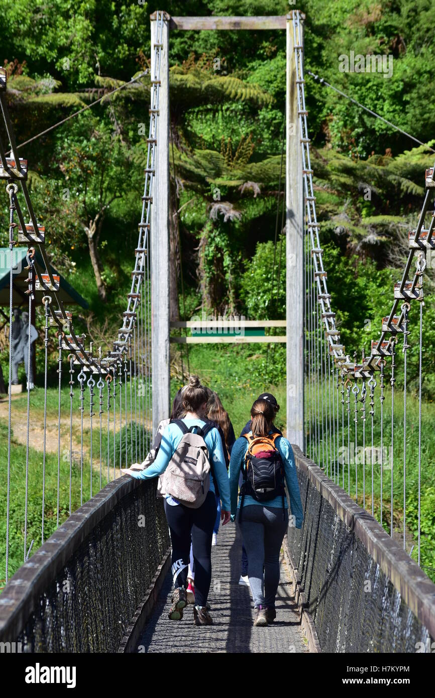 Tourists on the suspension bridge in Karangahake Gorge, NZ. Stock Photo