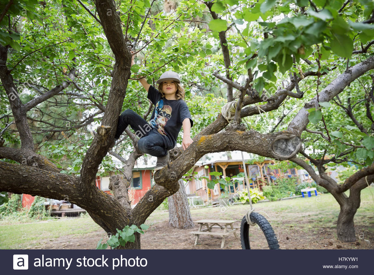 Portrait boy climbing tree Stock Photo