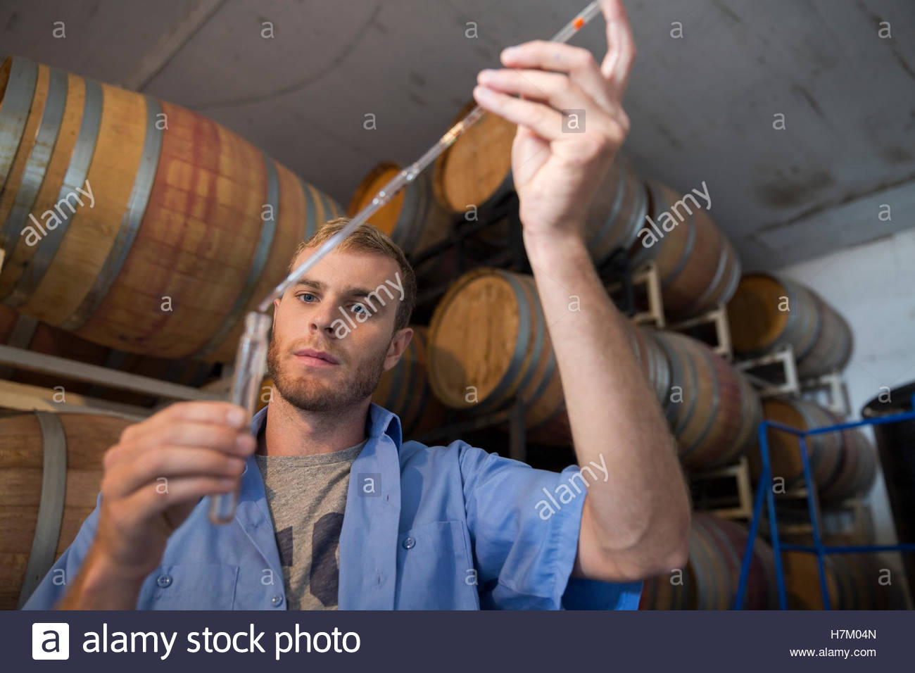 Vintner with pipette and test tube checking wine in winery barrel room Stock Photo Alamy