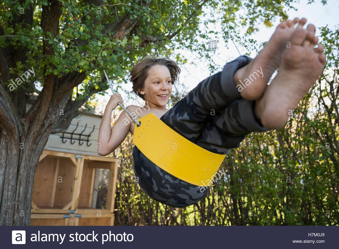 Playful boy swinging on tree swing in summer yard Stock Photo