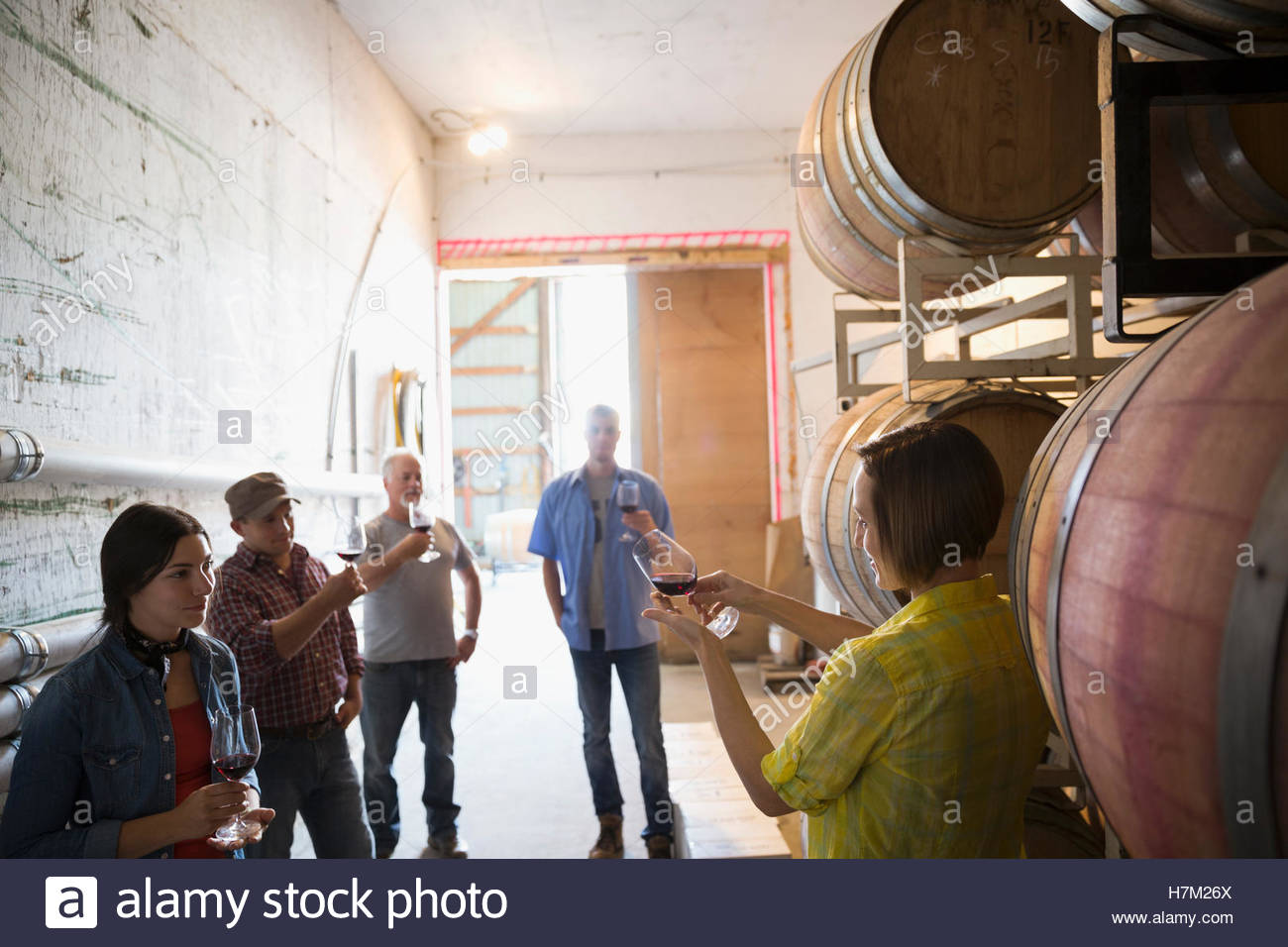 Vintners meeting and checking wine in winery barrel room Stock Photo