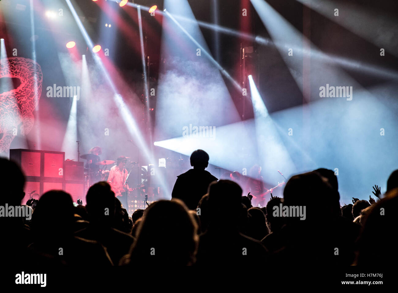 Charlie the catfish hires stock photography and images Alamy