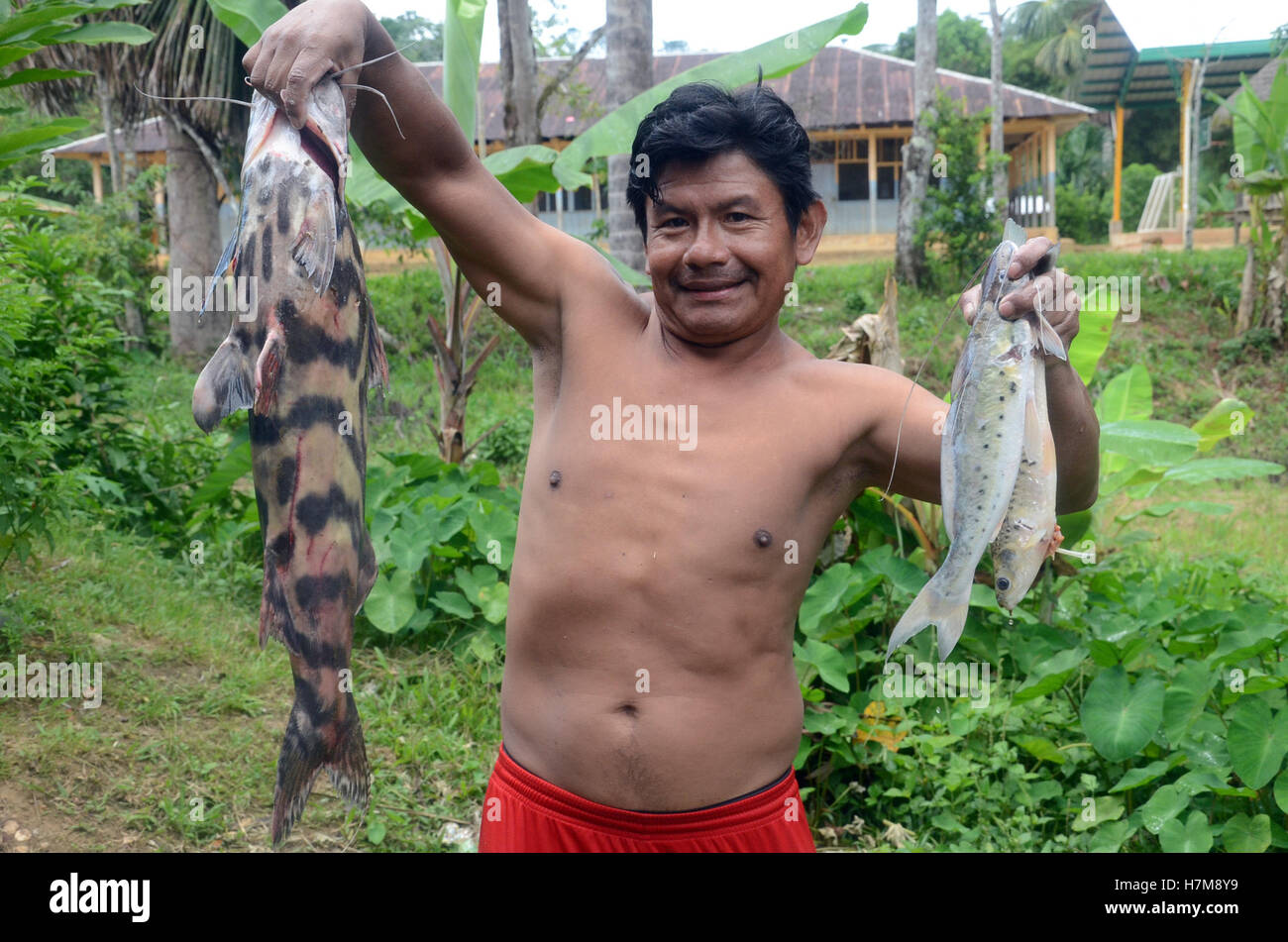 Equador shows freshly caught fish in the Amazonian Sarayaku, Ecuador ...
