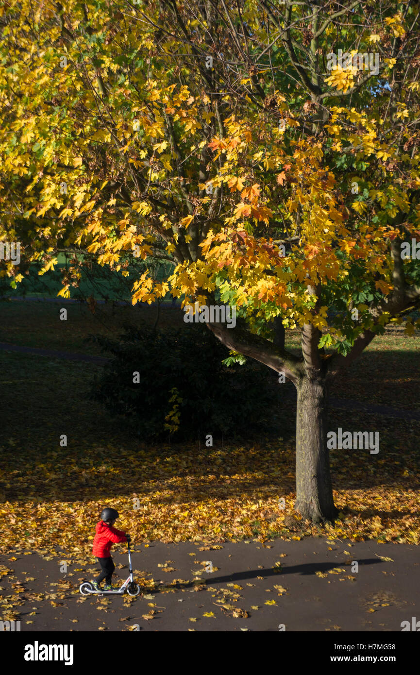 A young child on a scooter in bright autumnal sunshine Stock Photo