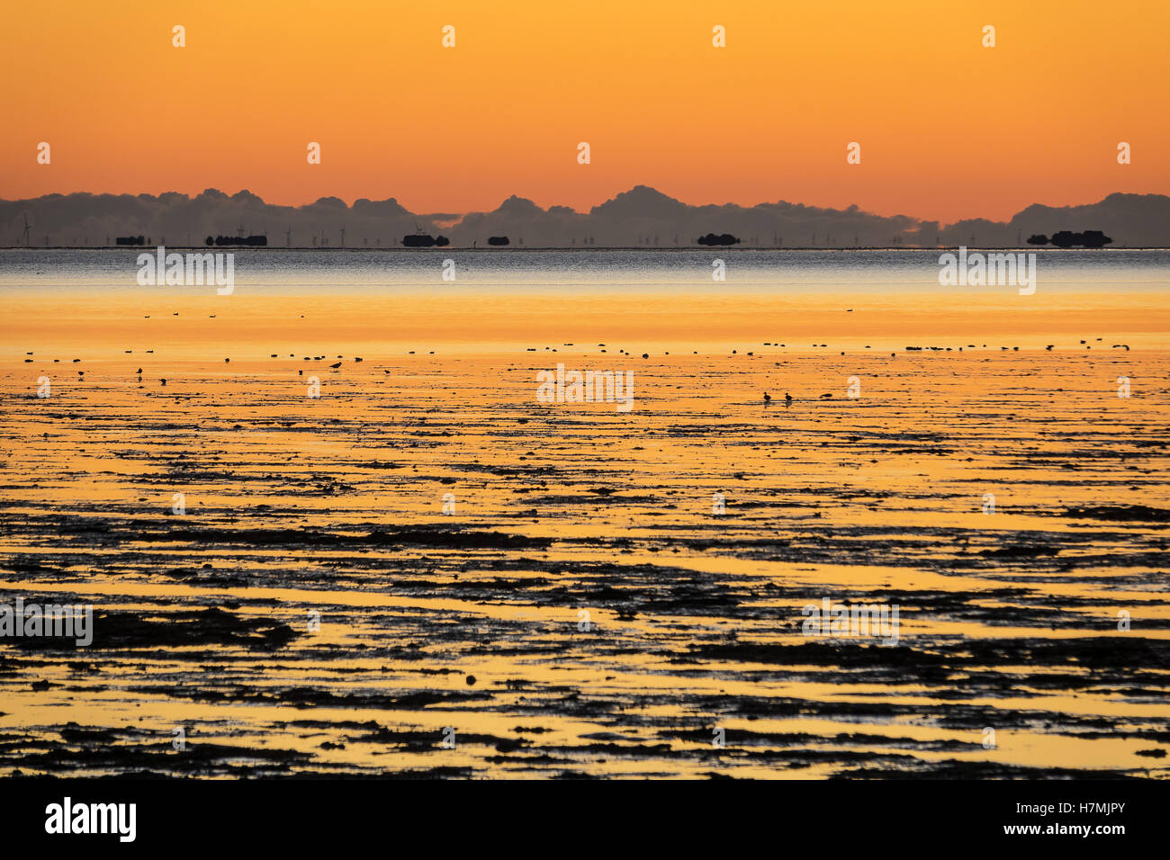 Sunrise on the North Sea coast on the island Amrum, Germany Stock Photo