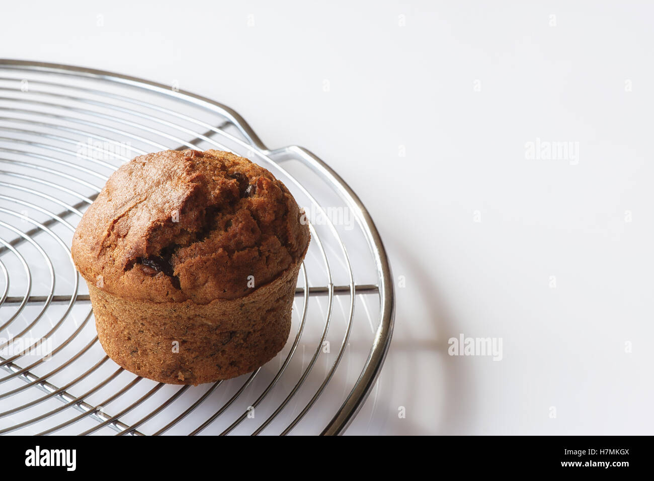 Fresh home made muffin on a cake grate, single muffin, wihte background Stock Photo