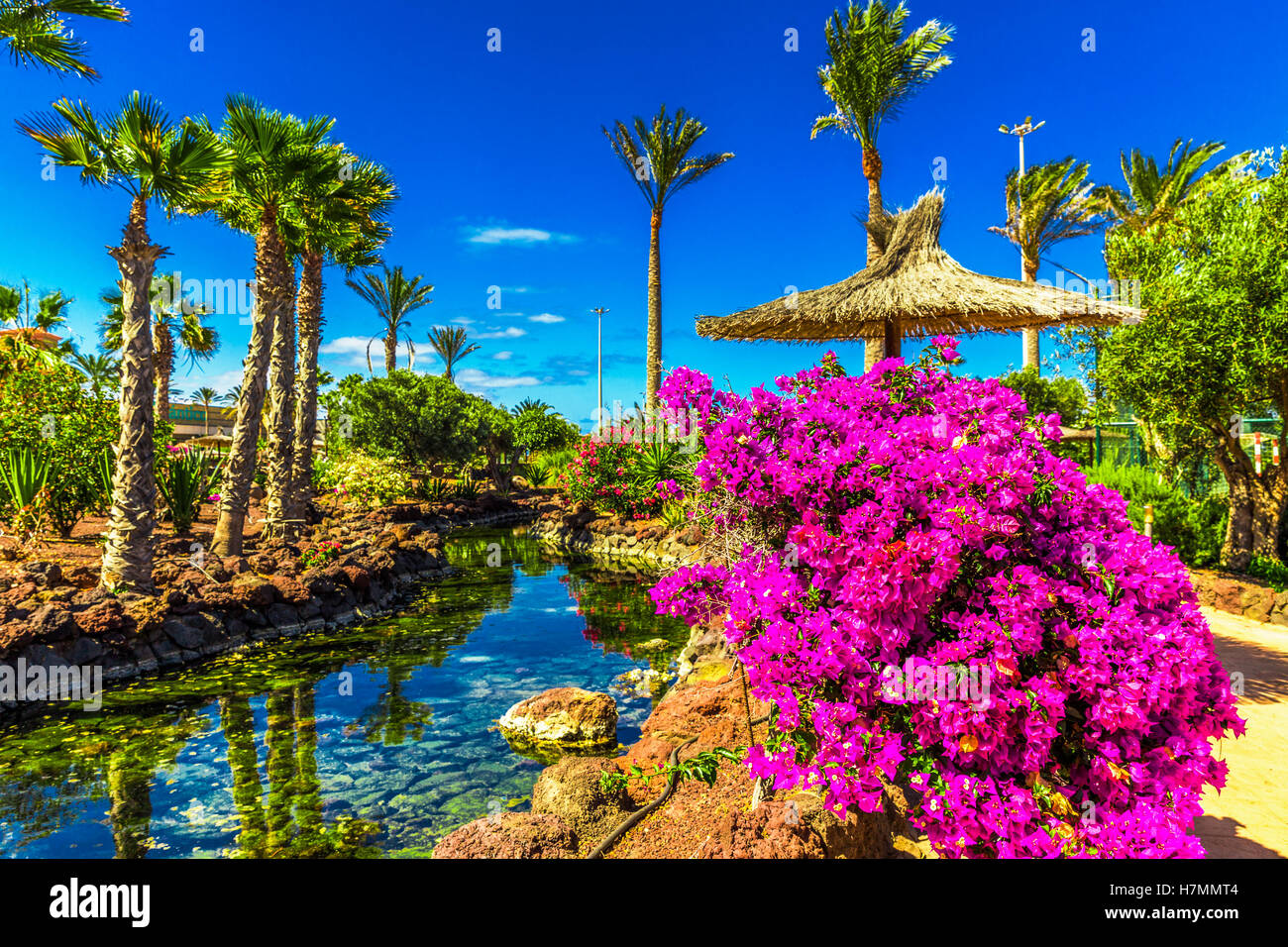 Beautiful view to tropical island resort garden with palm trees, flowers and river on Fuerteventura, Canary Islands, Spain Stock Photo