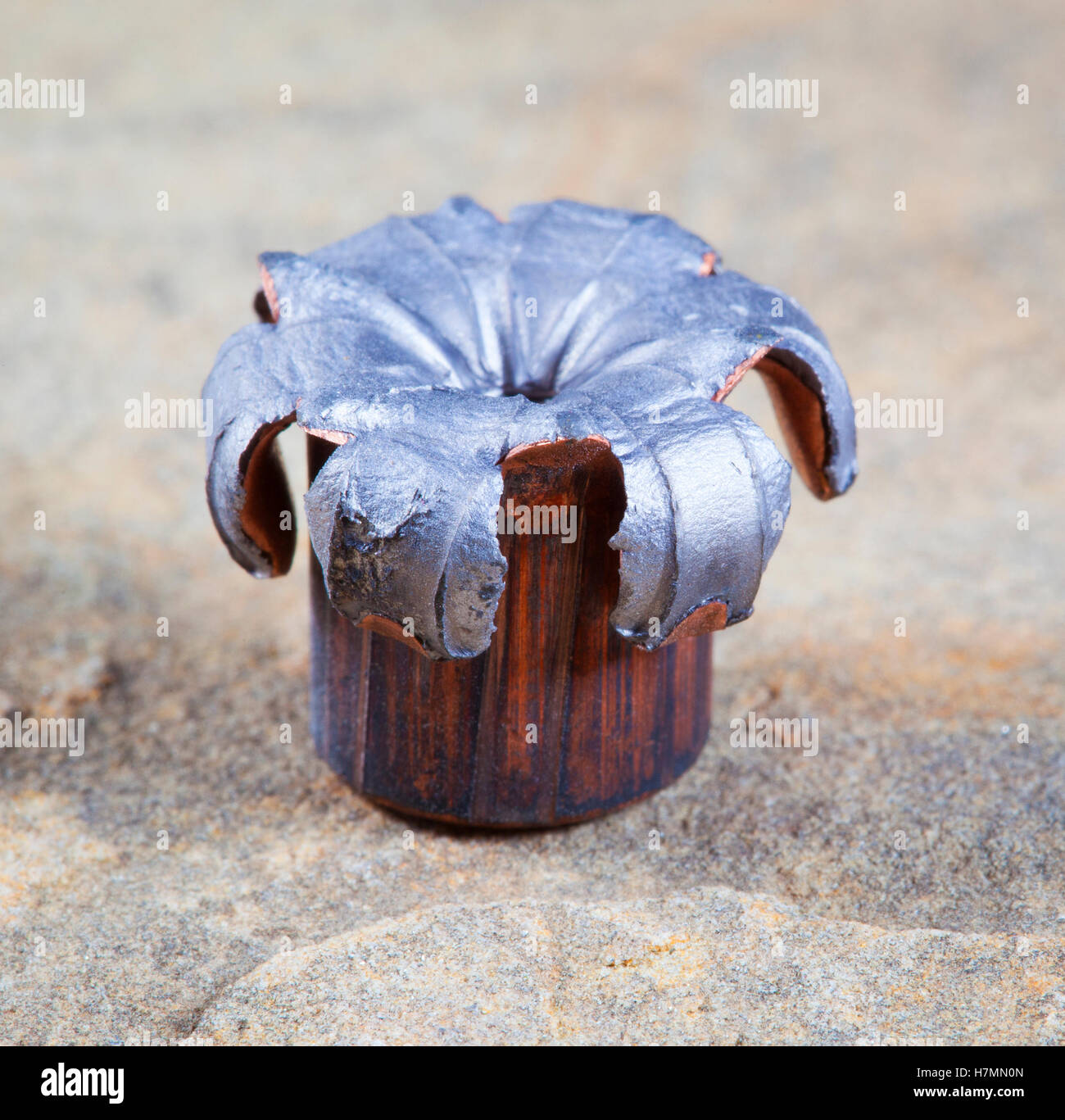 Copper jacketed lead bullet after the hollow point has flattened Stock