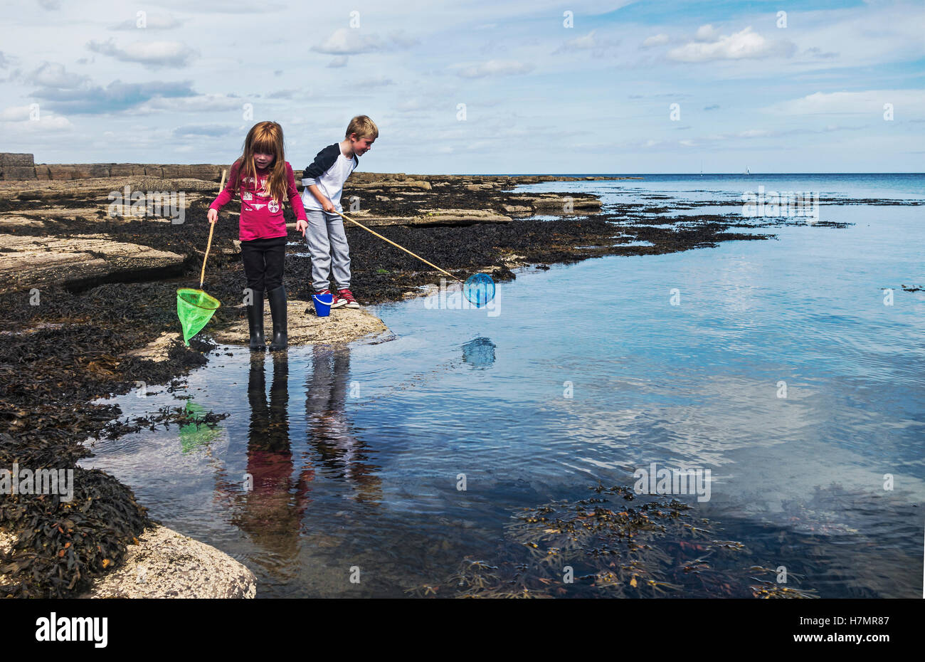 Two children fish with nets on the Northumberland coast. Stock Photo