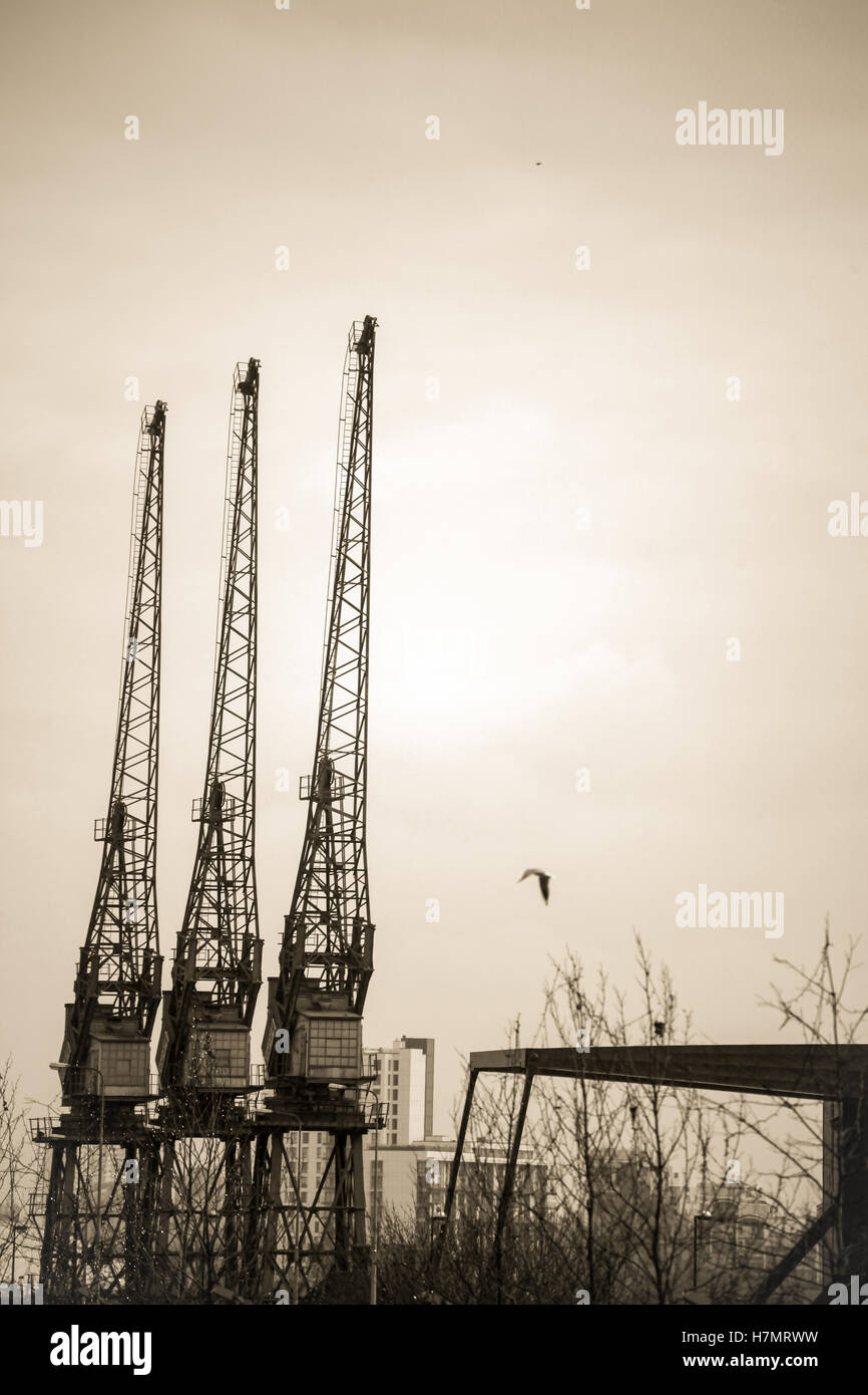 Cranes in shipyard in black white hi-res stock photography and images ...