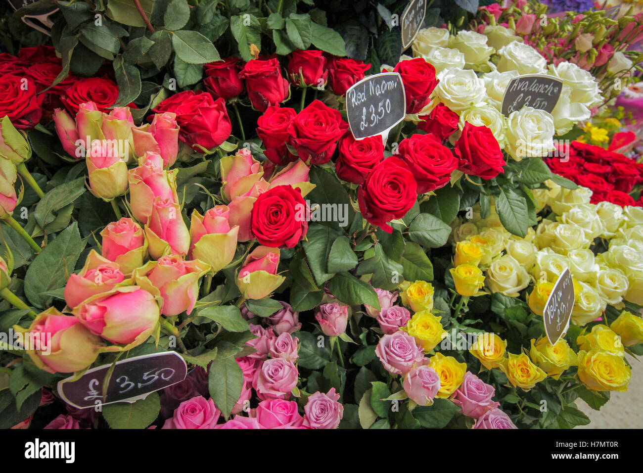 Roses for sale on the flower stand at Victoria train station in London