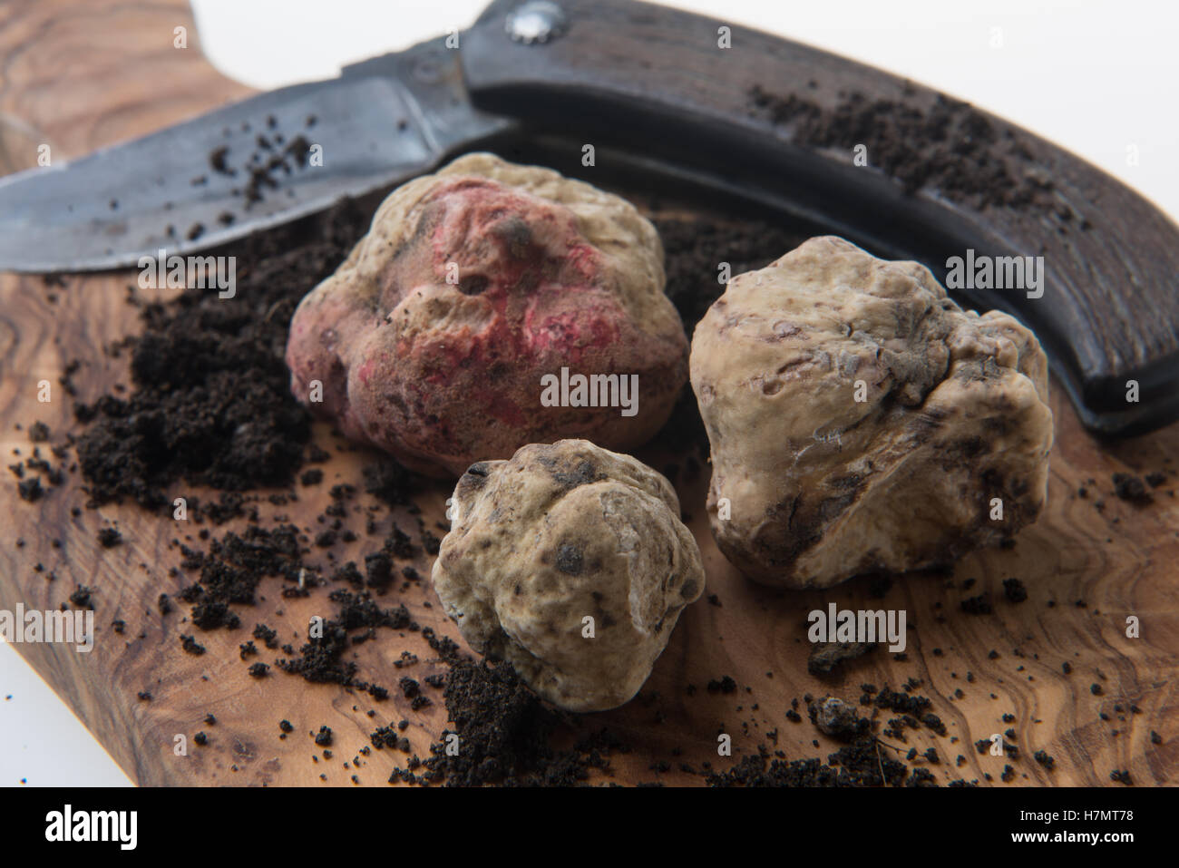 Alba white truffle tuber on wood board and truffle's knife Stock Photo