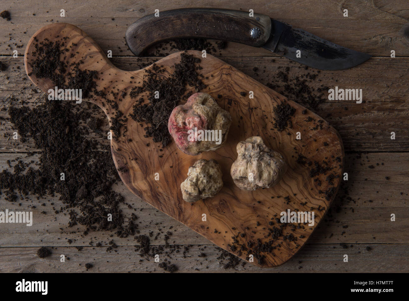 Top view alba white truffle on wood board and truffle'sknife Stock Photo