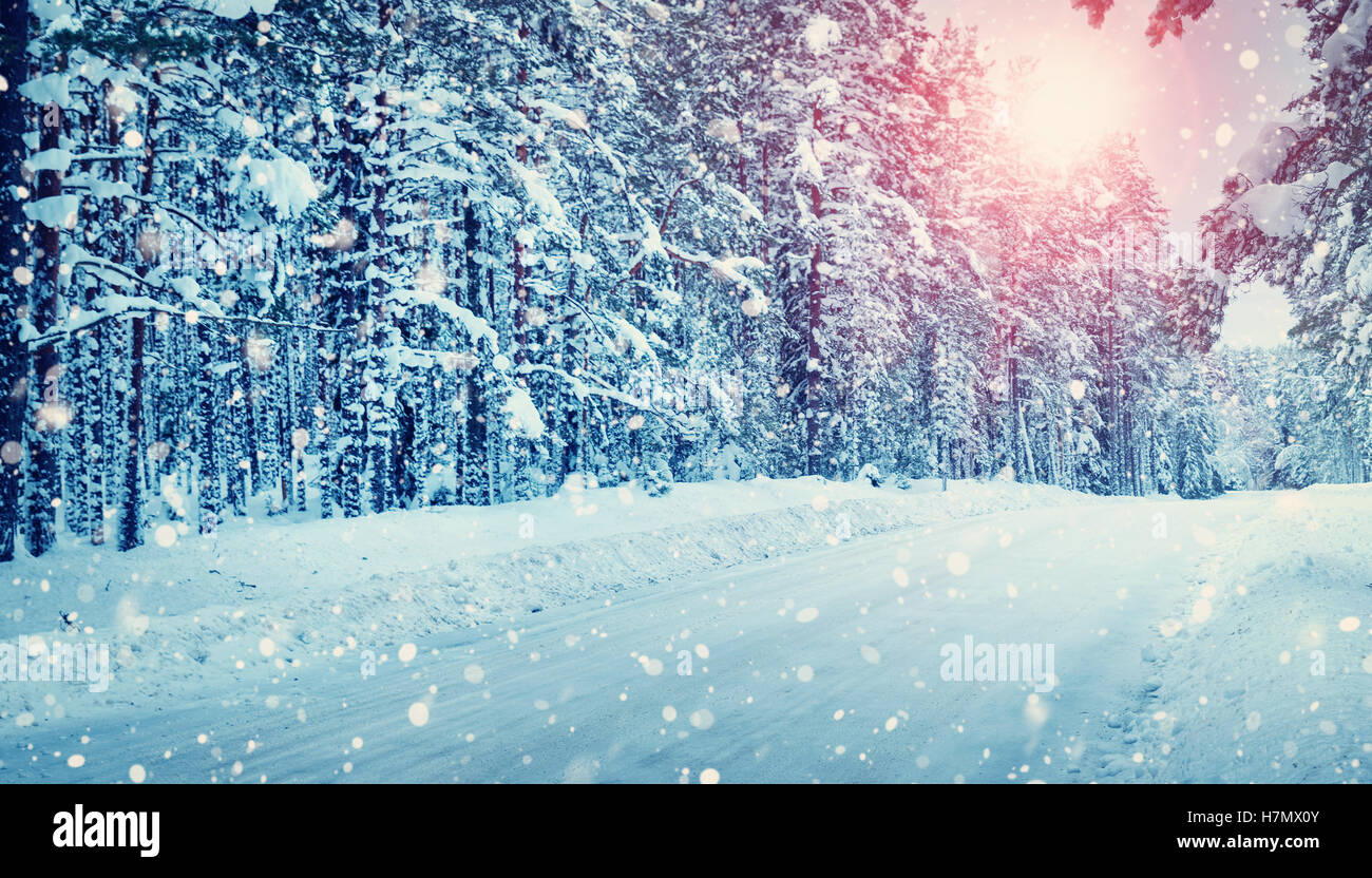 road in snowy winter on beautiful sunny day Stock Photo - Alamy