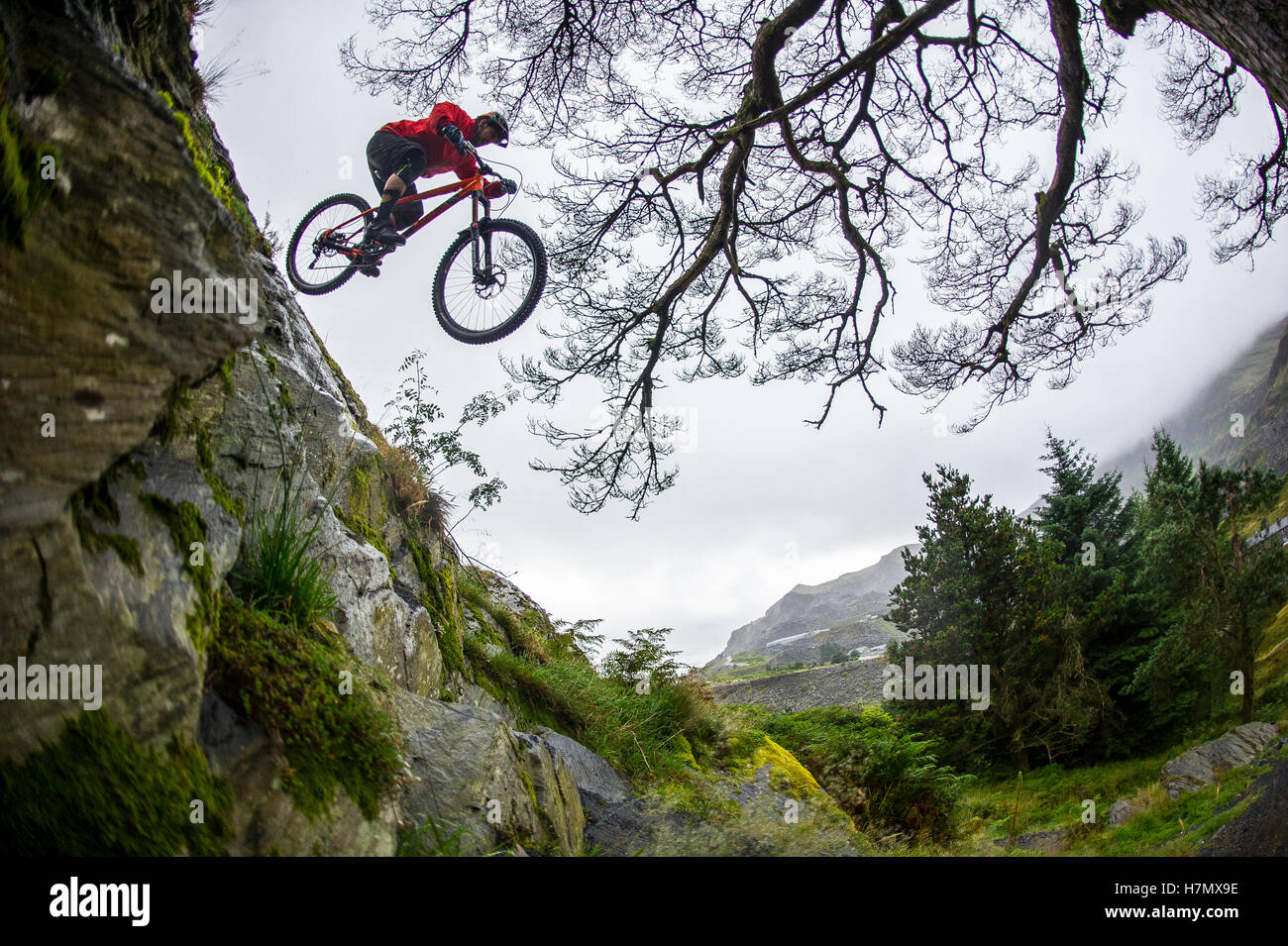 Antur on sale stiniog mtb