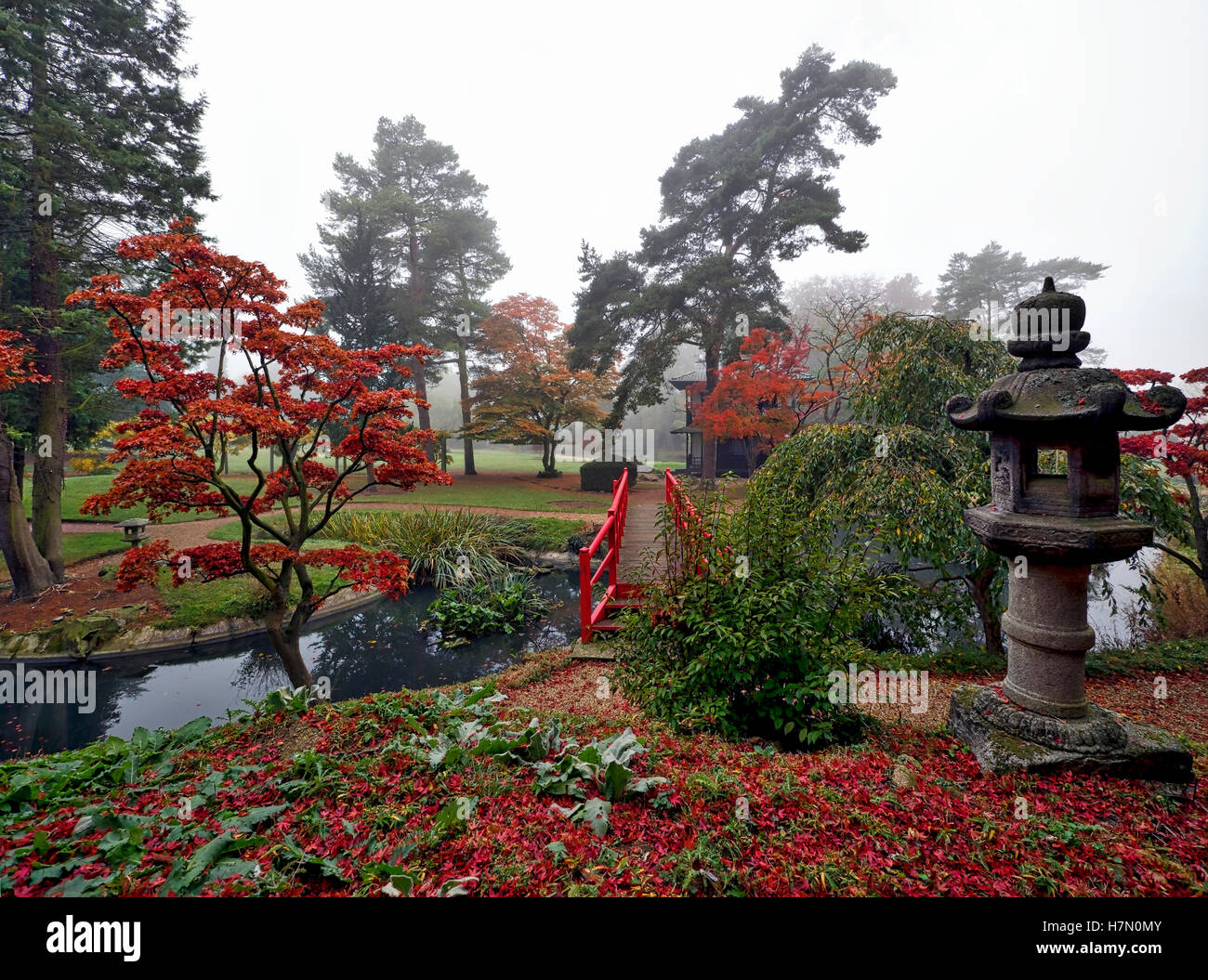Japanese garden during the autumnal fall golden red acer tress lantern house autumn Japan colours water pond lake maple misty mo Stock Photo