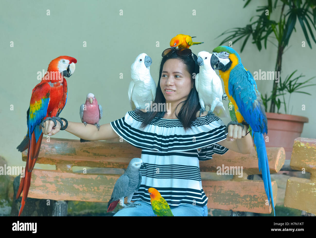 Inside view of Kuala Lumpur Bird Park, Malaysia Stock Photo Alamy