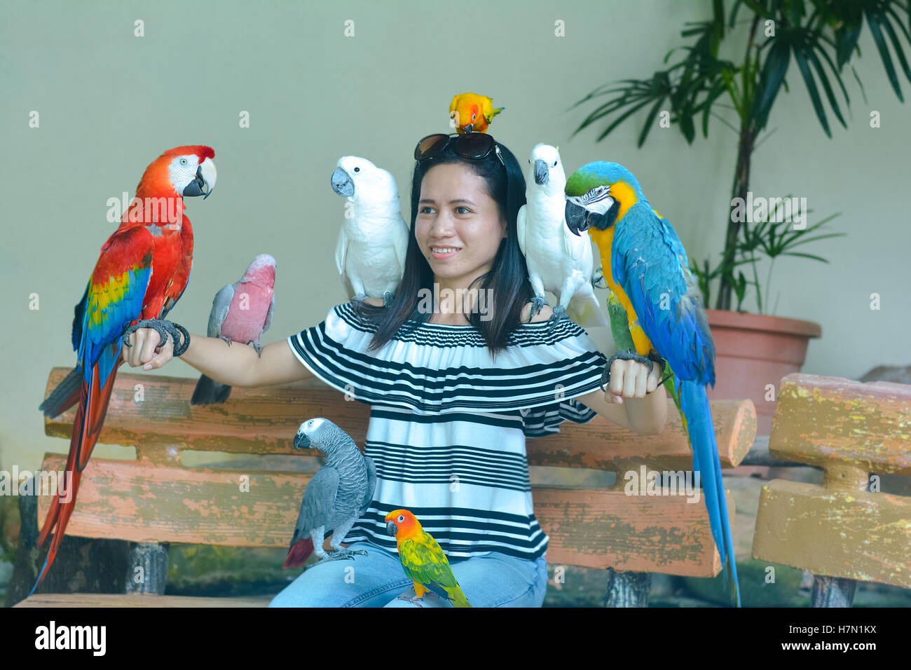 Inside view of Kuala Lumpur Bird Park, Malaysia Stock Photo
