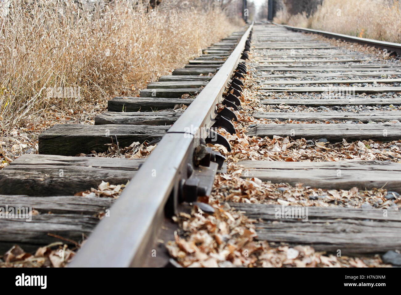 rail ties, train tracks, steel rails Stock Photo