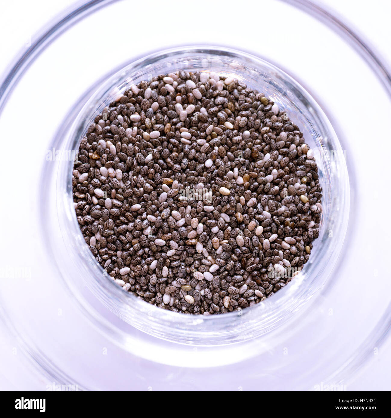 Square overhead shot of organic chia seeds in a glass dish with bright light to give a blue tint to the white background, Stock Photo