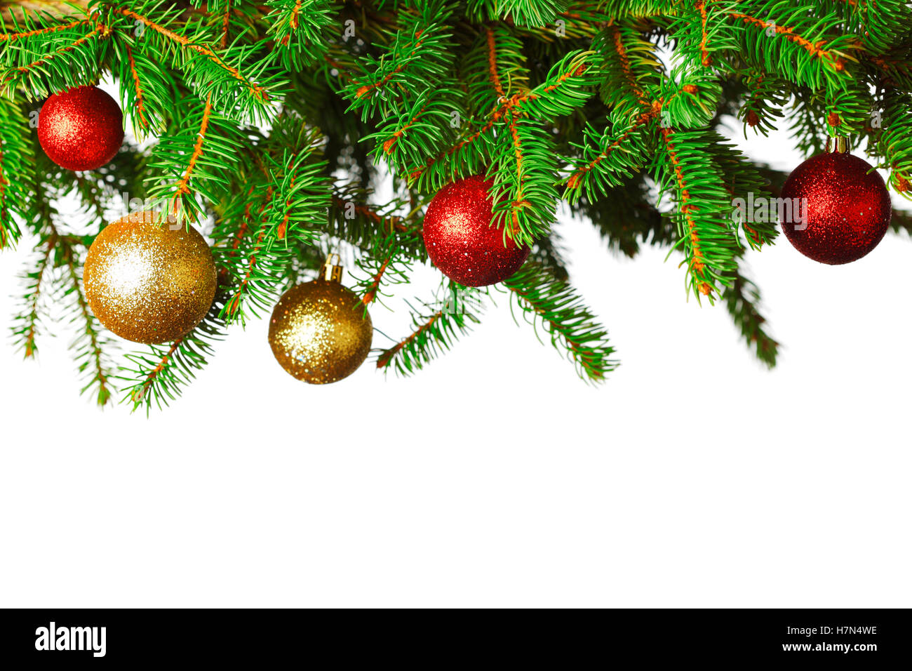 branch of Christmas tree with red and golden glass balls isolated on ...