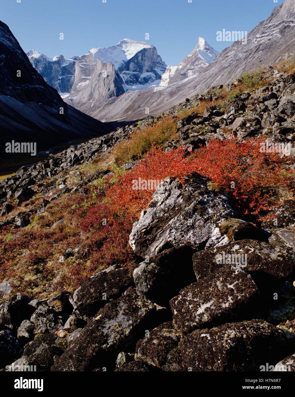 Glacial valley and Arrigech Peak, Gates of the Arctic National Park