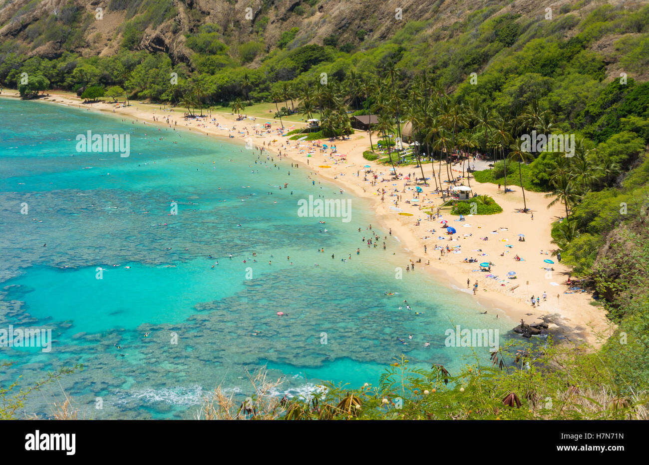 Honolulu Hawaii Oahu famous reef at Hanauma Bay coral from above