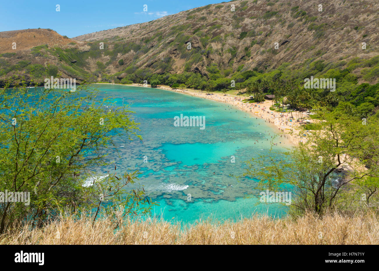 Honolulu Hawaii Oahu famous reef at Hanauma Bay coral from above