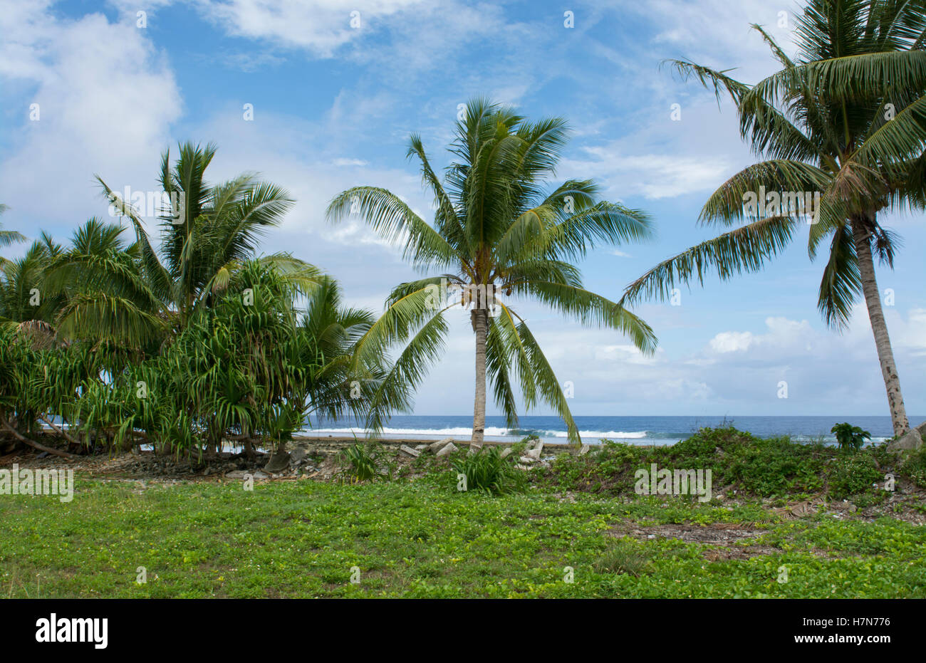 Majuro Marshall Islands beach with palm trees and ocean romantic scene