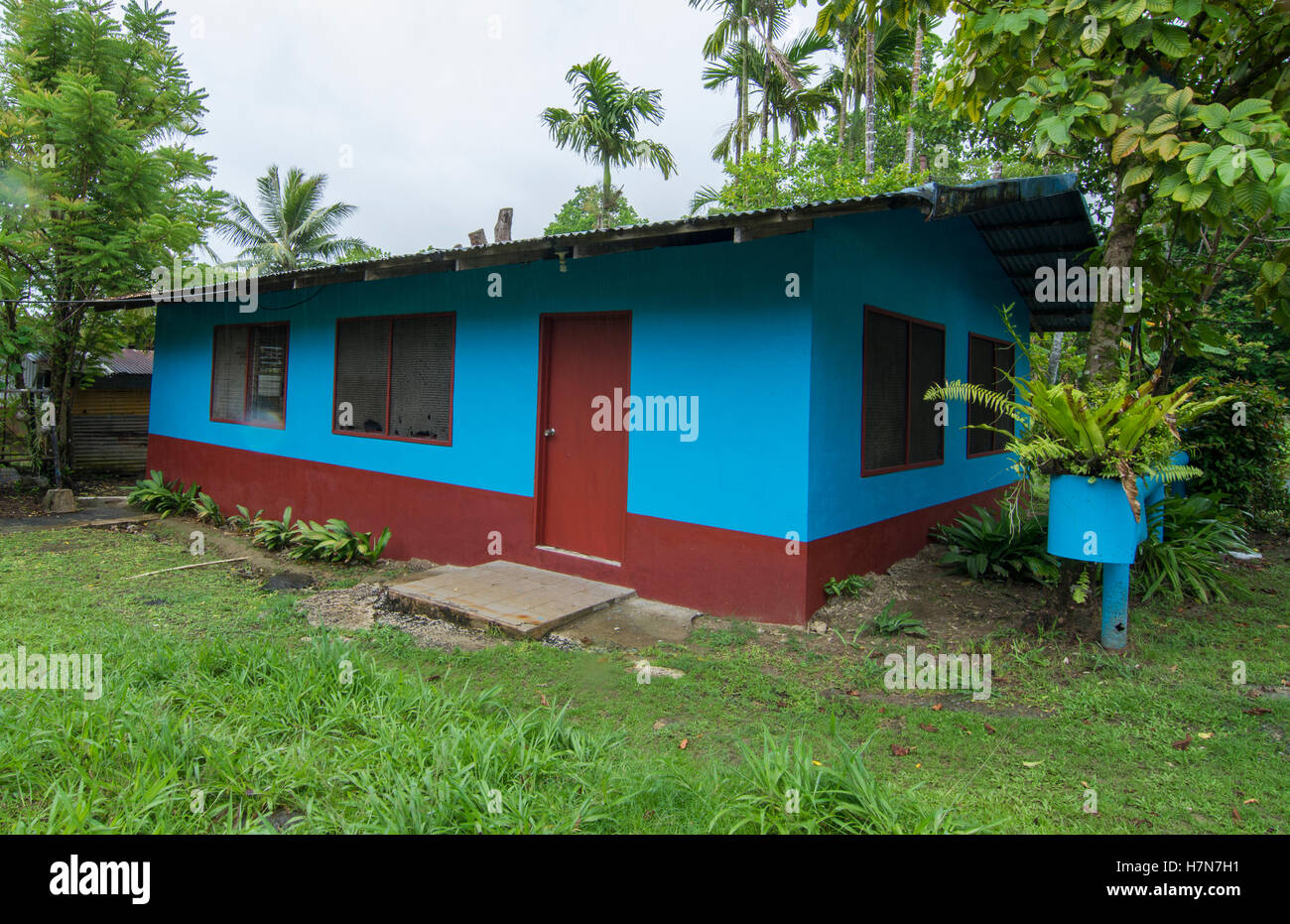 Pohnpei Micronesia local colorful blue home with lush forest Stock