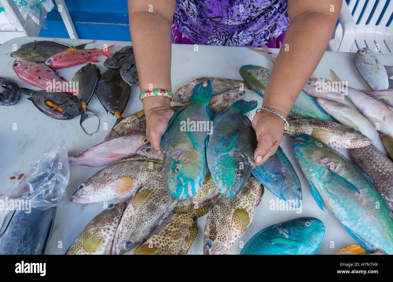 Pohnpei Micronesia close up of fresh fish for sale in capital downtown