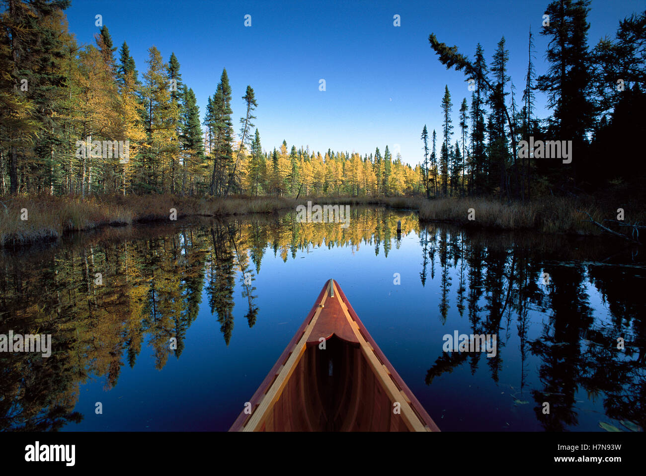 Canoe bow with autumn trees, Discovery Lake, Superior National Forest