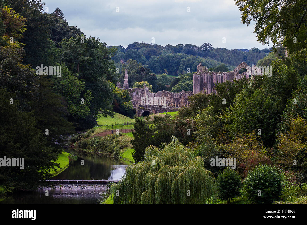Fountains Abbey - Ripon, North Yorkshire Stock Photo