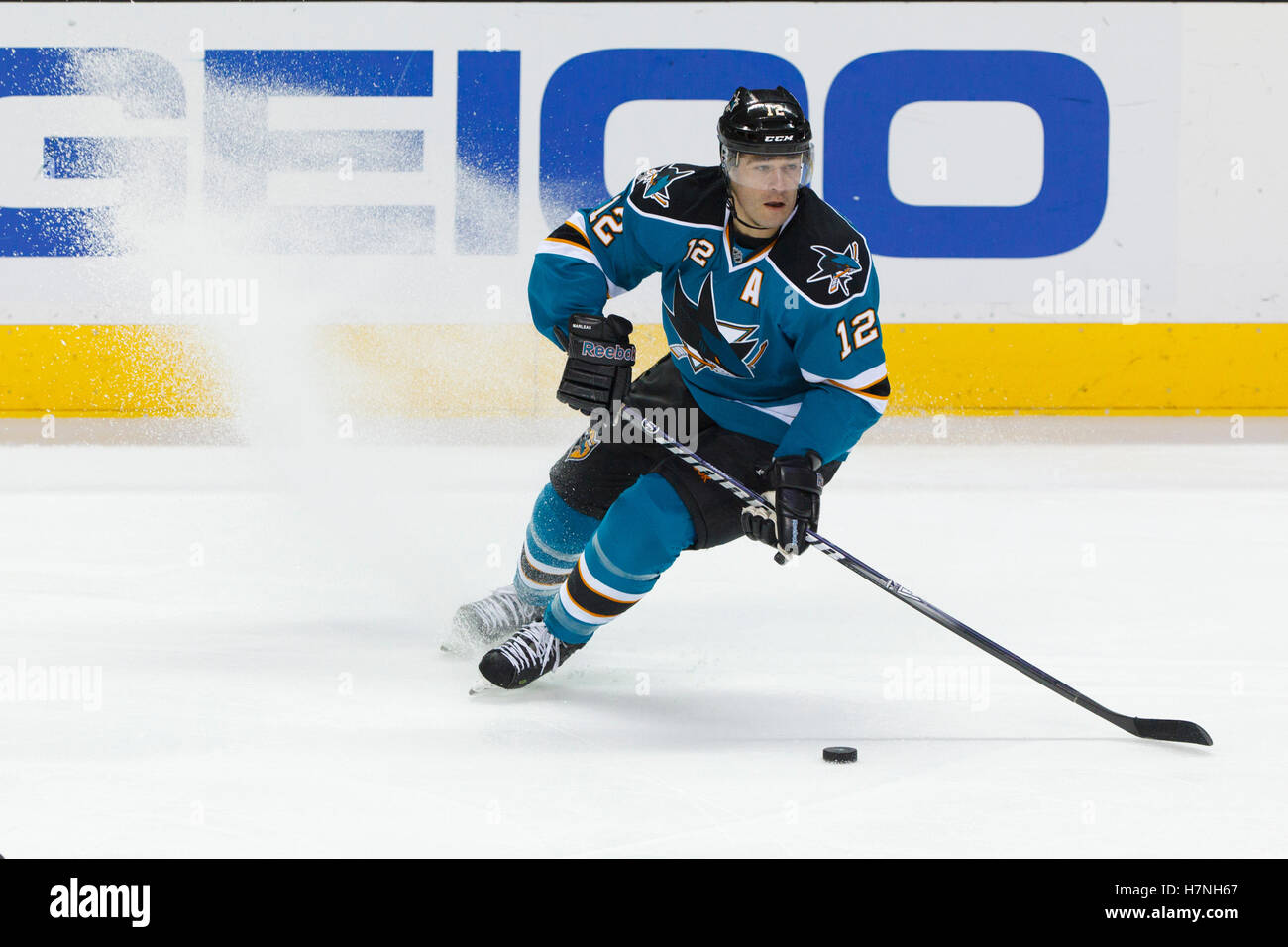 Christina Marleau shared a golden photo of Patrick after he was