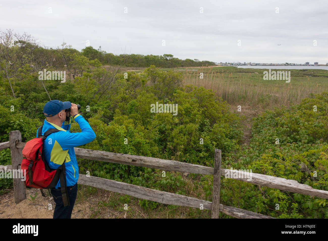 Jamaica Bay wildlife refuge Queens NYC Stock Photo Alamy