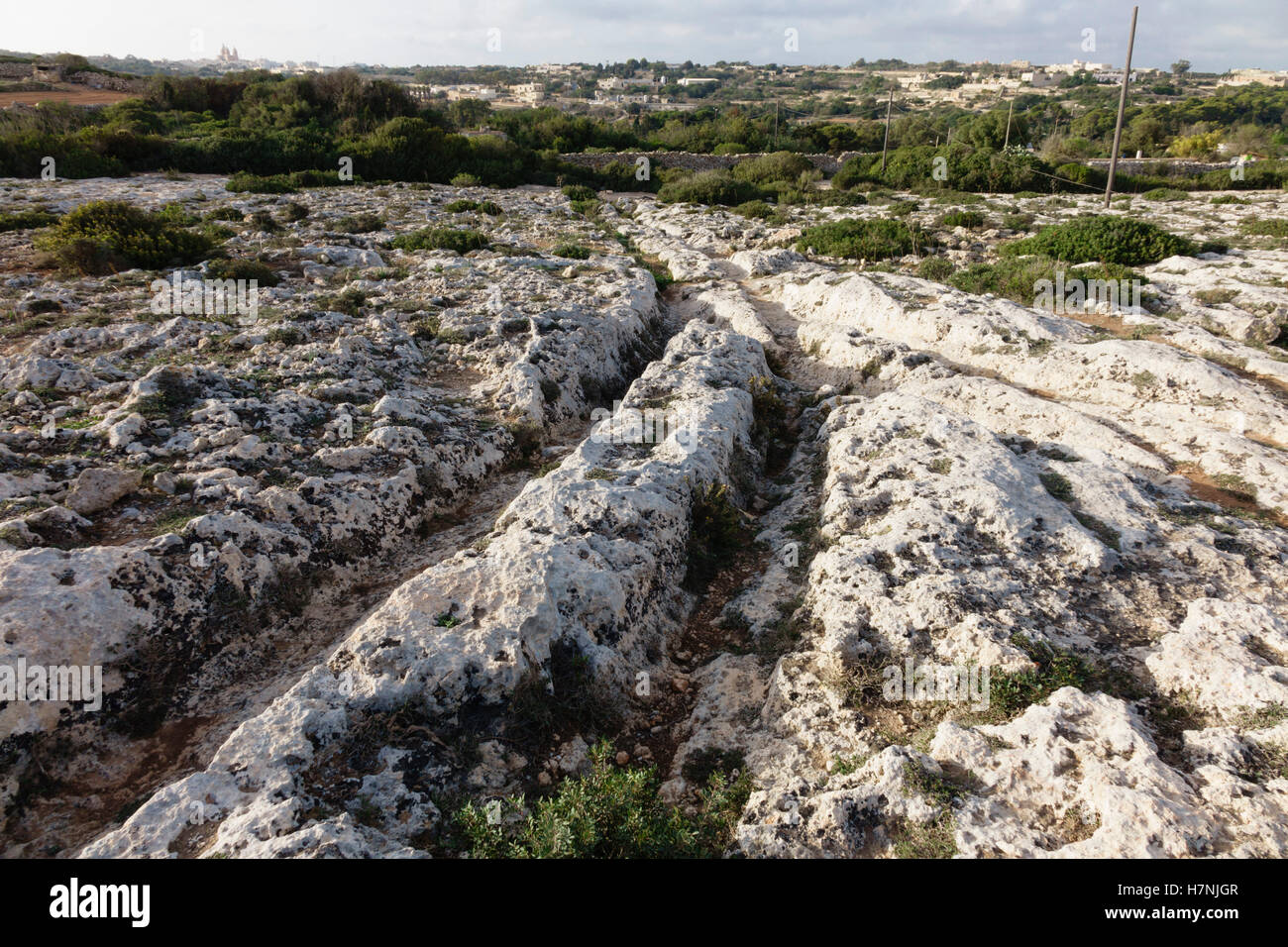 Malta Ruts Malta cart-ruts at 'Clapham Junction', near Dingli, hundreds of ...
