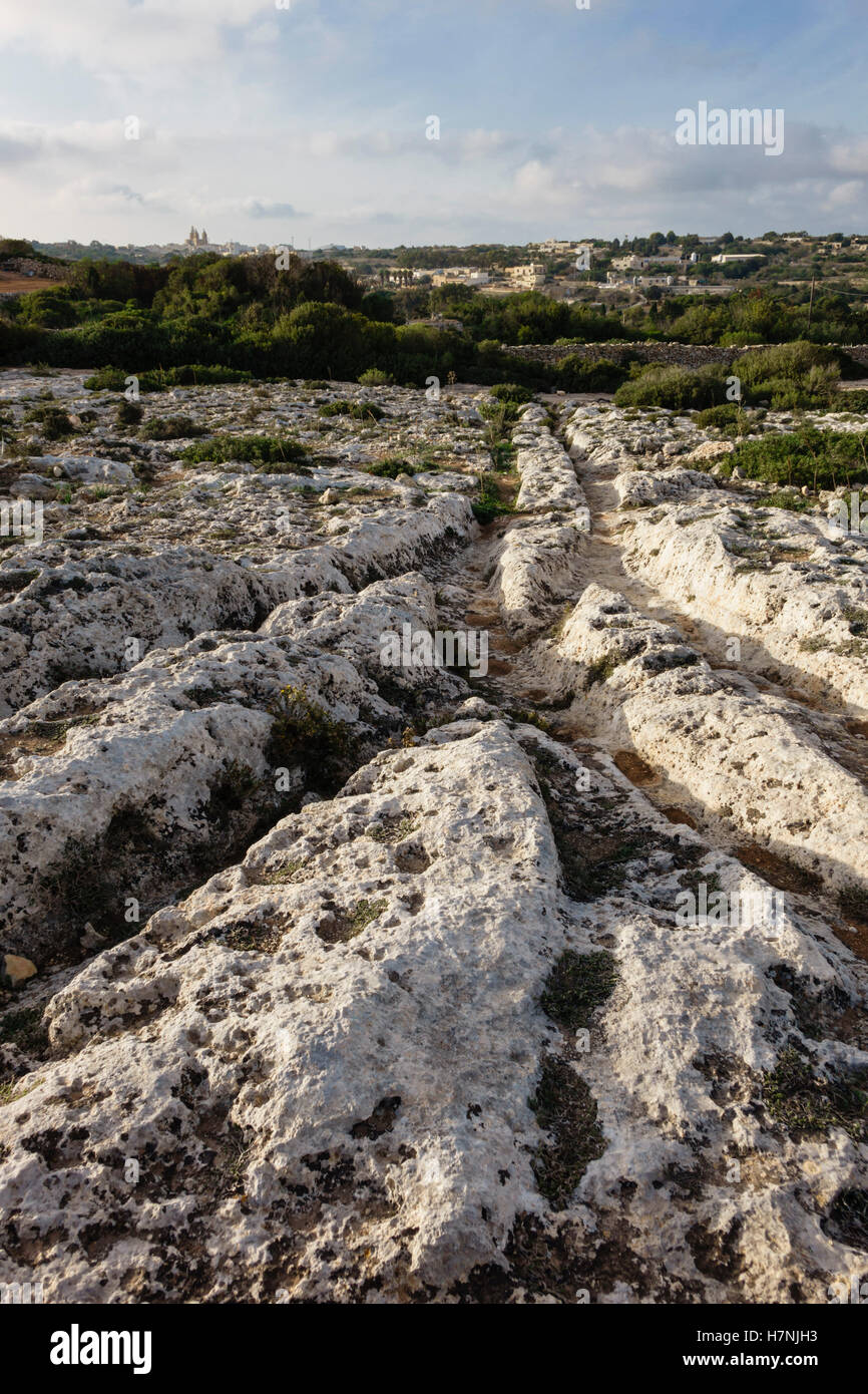 Malta cart-ruts at 'Clapham Junction', near Dingli, hundreds of ...