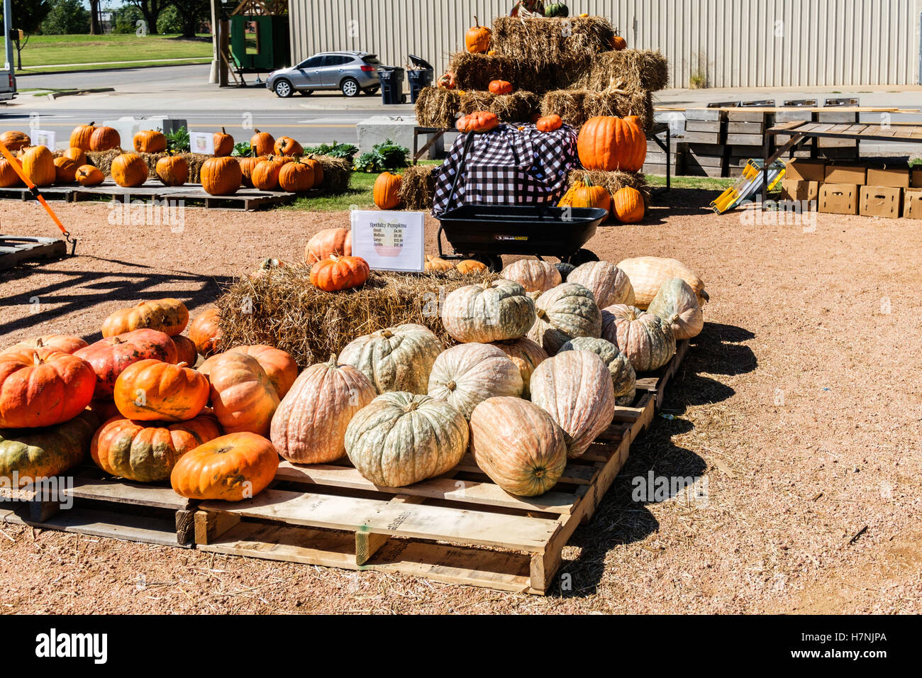 Stacked pumpkins hires stock photography and images Alamy