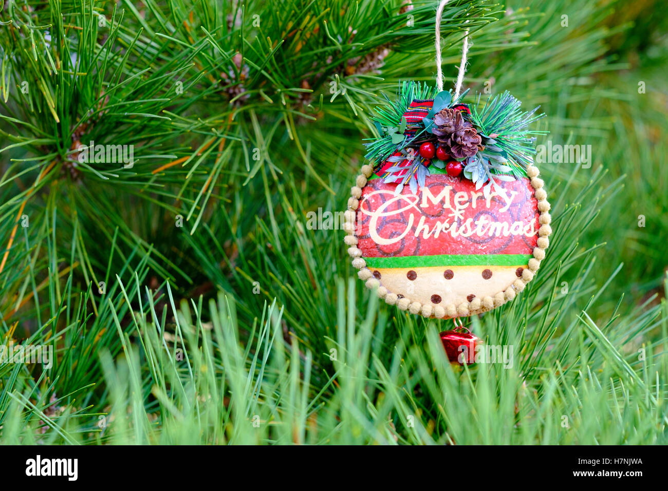 A Christmas ornament saying Merry Christmas hanging on a pine tree. Closeup. Stock Photo