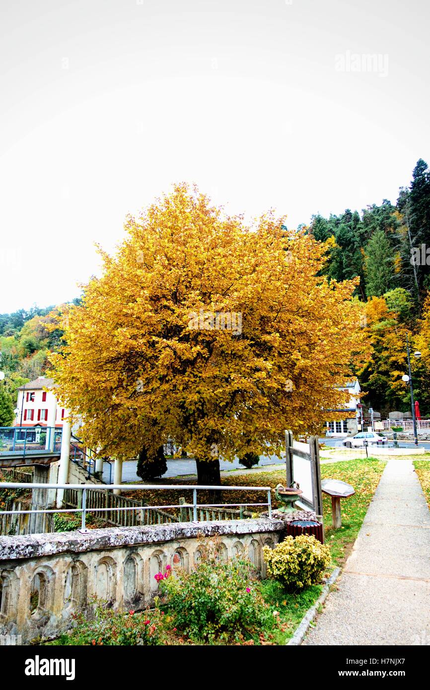 Scenes from St Nectaire in the autumn Stock Photo