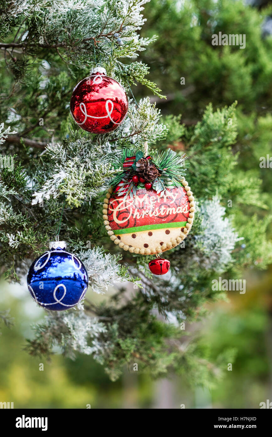 Three Christmas ornaments on a frosted cedar tree Stock Photo Alamy