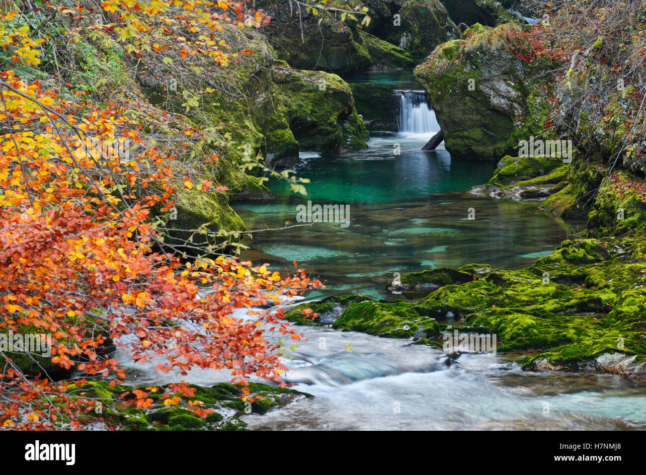 Waterfall leaves moss autumn hi-res stock photography and images - Alamy