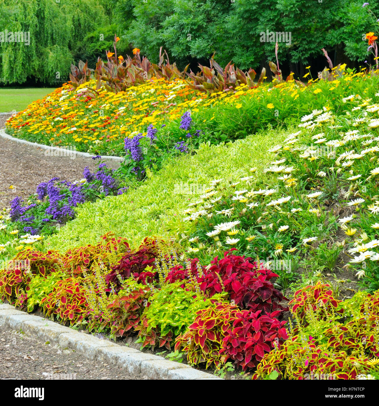 delightful flower bed in the summer park Stock Photo - Alamy