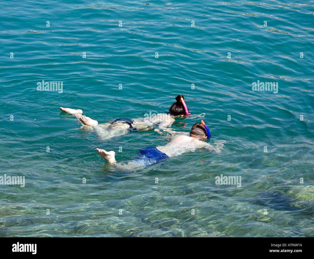 Children snorkelling in shallow water in the bay, Sissi, Crete, Europe. Stock Photo