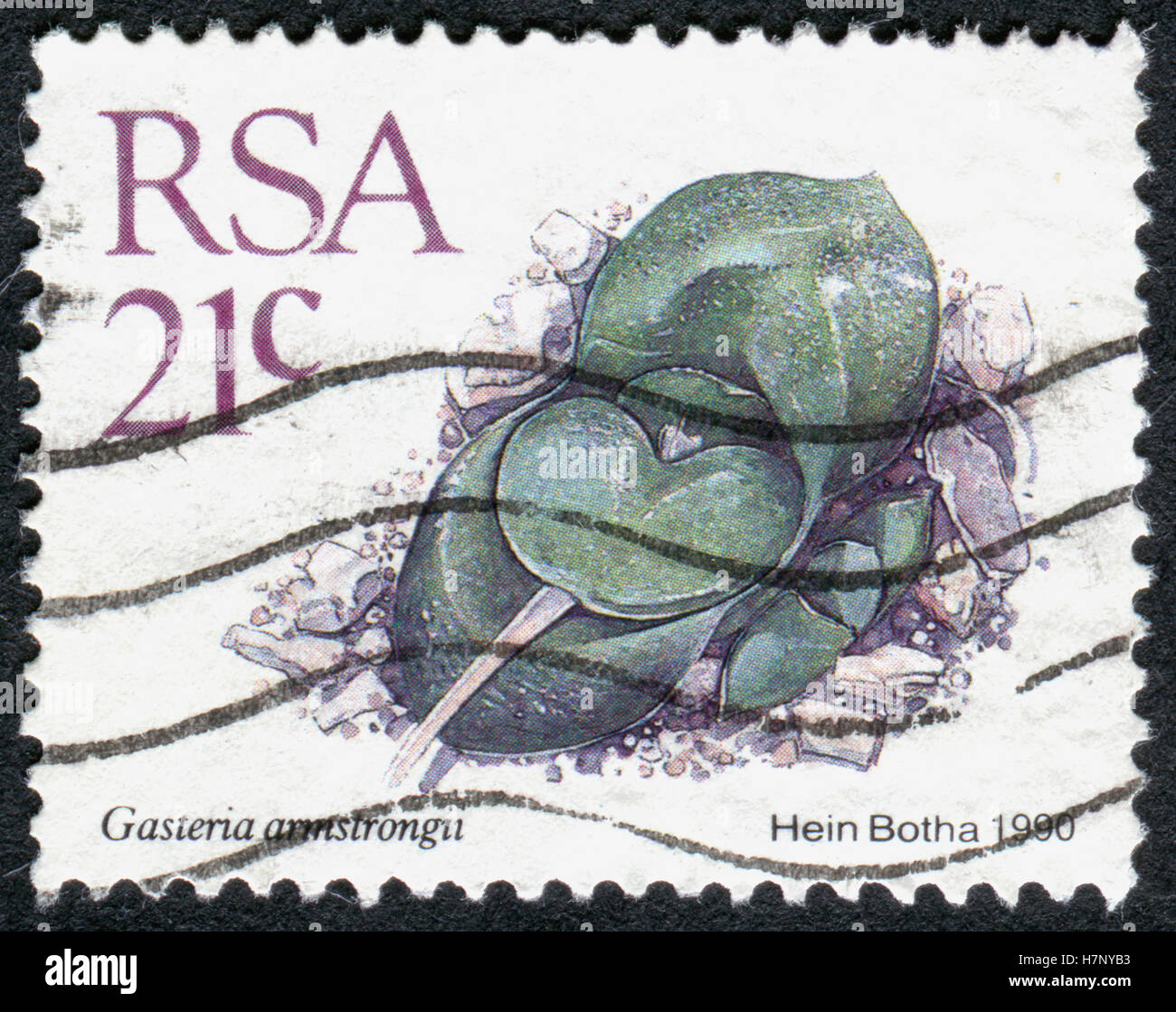 SOUTH AFRICA - CIRCA 1990: A stamp printed in South Africa, shows a dwarf succulent plant Gasteria armstrongii, circa 1990 Stock Photo