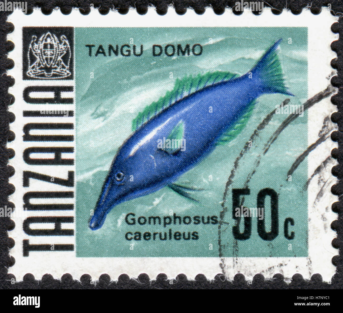 TANZANIA - CIRCA 1962: A stamp printed in Tanzania shows a aquarium fish Gomphosus caeruleus, circa 1962 Stock Photo