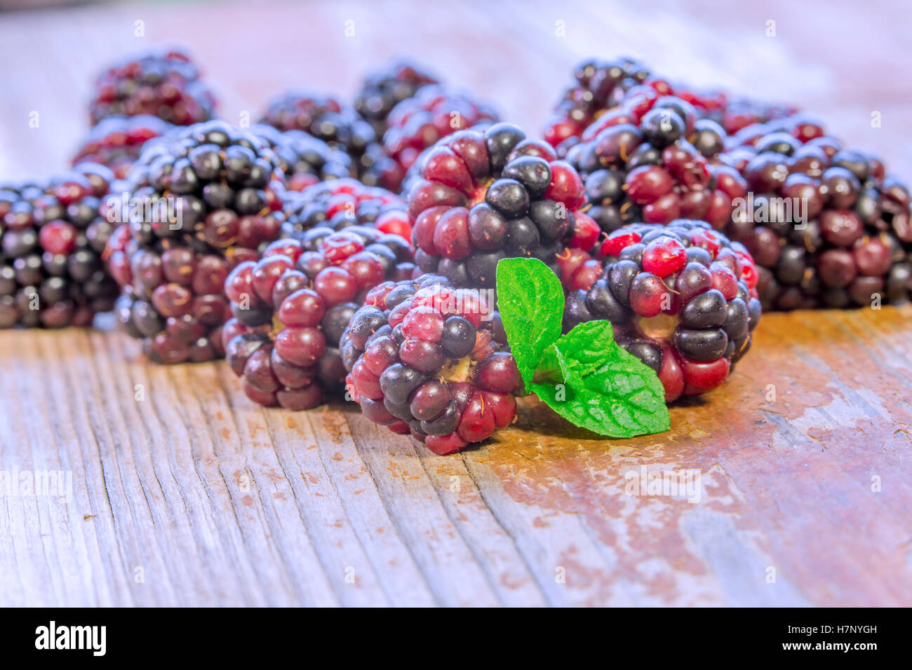 Fresh Blackberries Stock Photo
