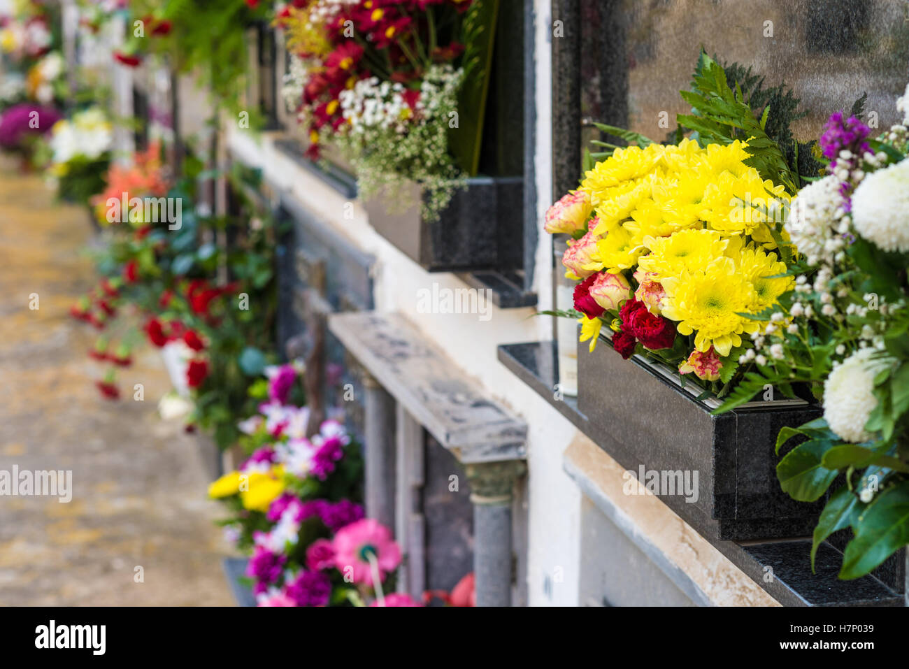 Tombs with colorful flower decoration Stock Photo Alamy