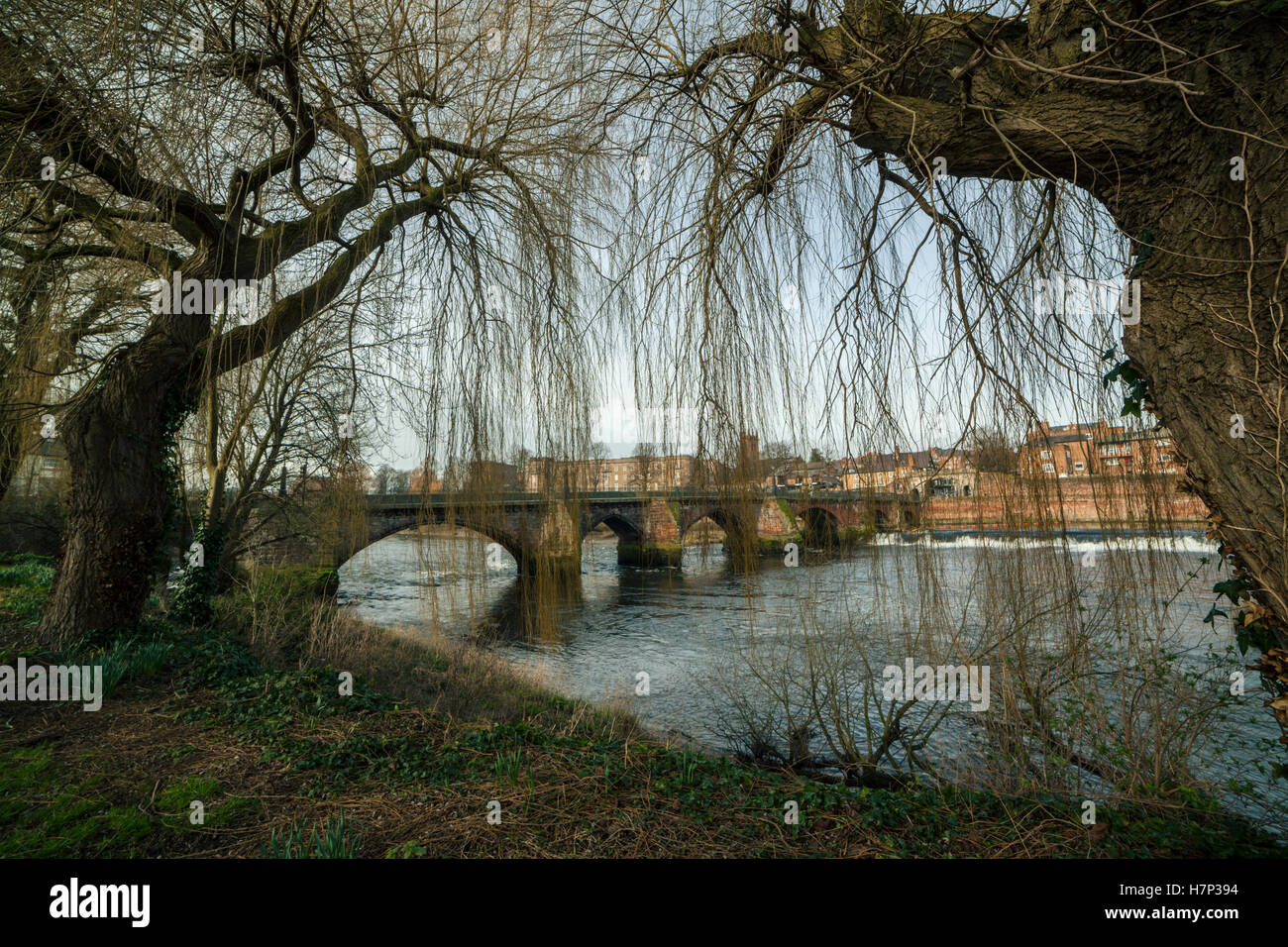 Chester, UK. 26th January, 2016. Willow branches frame a view of the Old Dee Bridge from the bank of the River Dee, Chester. Stock Photo